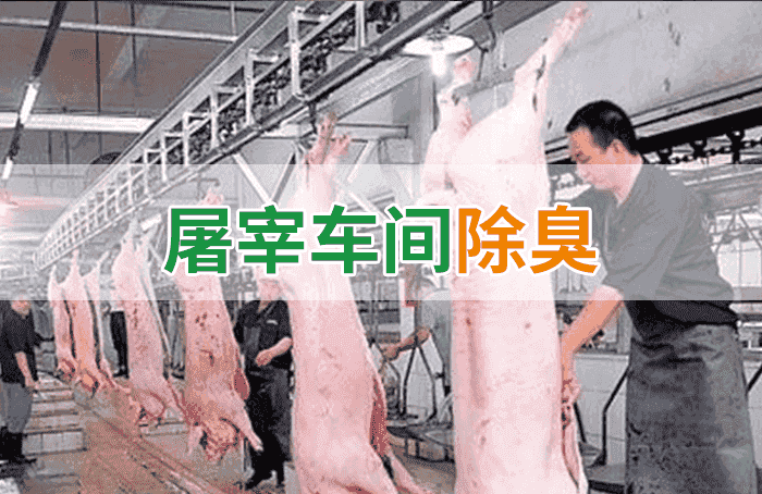 屠宰場(chǎng)臭氣影響周邊環(huán)境？解決辦法在這里-1