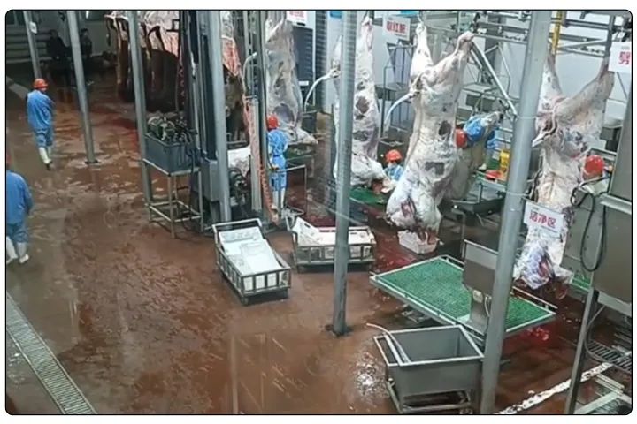 屠宰工廠惡臭影響周邊，使用除臭劑有什么注意要點(diǎn)？