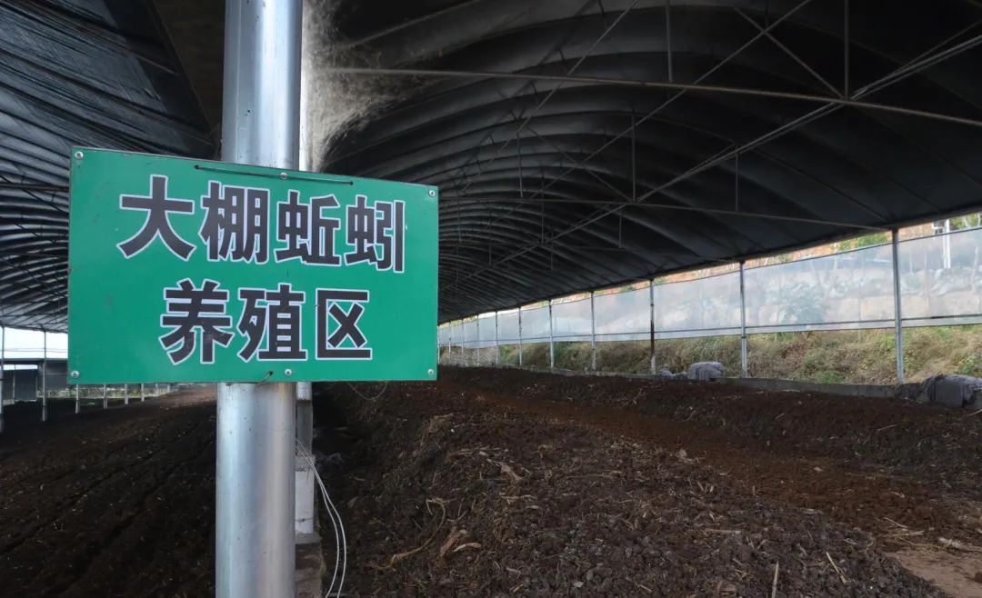 潔匠凈化·的凈工業(yè)除臭劑_的凈工業(yè)除臭劑高效治理蚯蚓養(yǎng)殖惡臭異味大、牛糞味濃