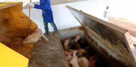 動(dòng)物無害化處理廠，惡臭異味危害大，<a href='/' style='color: blue;' target='_blank'>工業(yè)除臭劑</a>起作用！.png