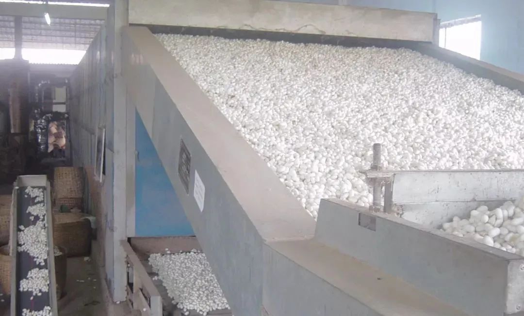 潔匠凈化·的凈工業(yè)除臭劑_繅絲廠“蠶繭烘干惡臭味”，Dejing的凈?除臭創(chuàng)造清新廠房！