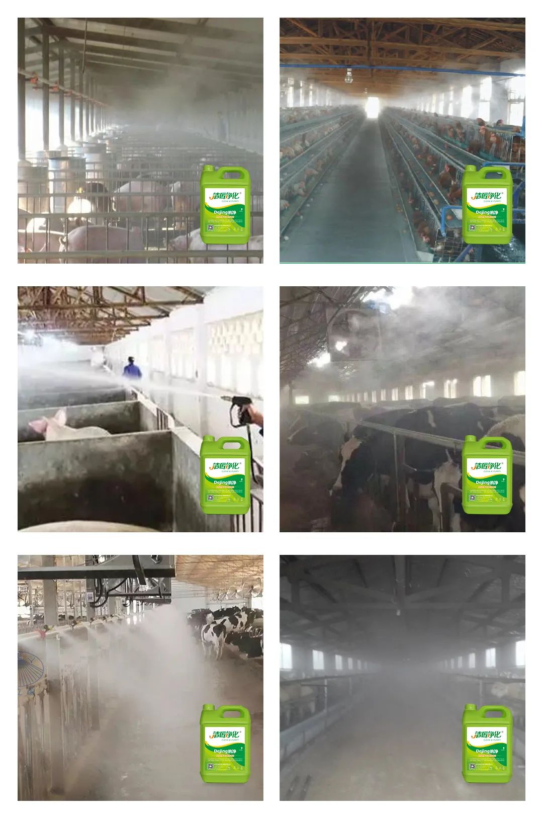 養(yǎng)殖場太臭，用Dejing的凈除臭劑迅速除臭！豬圈/雞場/牛場/羊圈....jpg